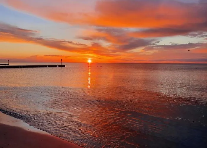 Cztery Pory Roku - 4 Seasons コウォブジェク